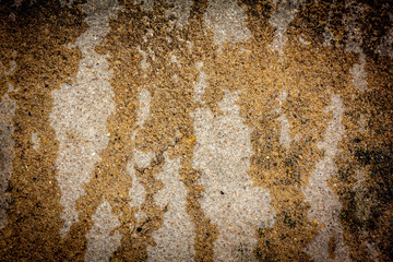 Background and texture cement floor with trace of water