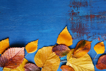Autumn leaves on blue wooden background