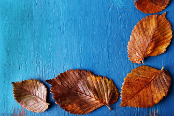 Autumn leaves on blue wooden background