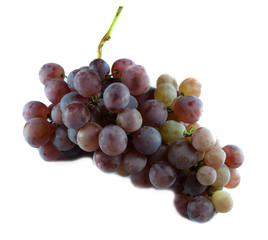bunch of grapes