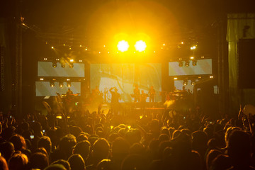 Crowd in a concert