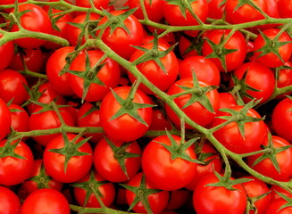Tomates