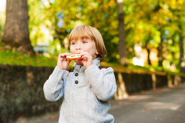 Outdoor portrait of adorable toddler boy in autumn park