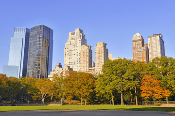 Fototapeta na wymiar Manhattan skyline from Central Park, New York