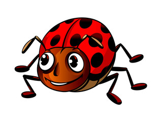 Funny ladybug