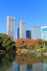 Fototapeta na wymiar Autumn leaves in Hamarikyu Gardens, Tokyo