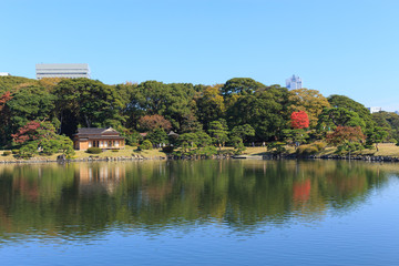 Autumn leaves in Hamarikyu Gardens, Tokyo