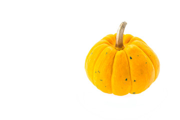 Pumpkin isolated on white