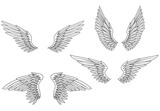 Wings set