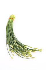 Garlic chives isolated on white background
