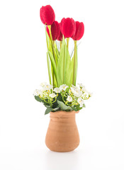 Vase flower isolated on white background