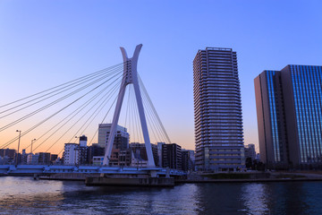 Chuo ohashi bridge and Skyscraper in Tokyo at dusk