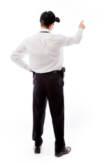 model isolated on plain background back pointing