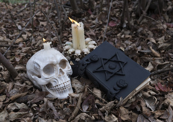 Scary skull, candles and black magic book in the forest
