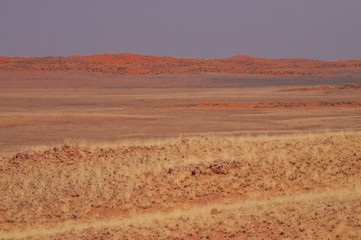 Dünenlandschaft in der Namib