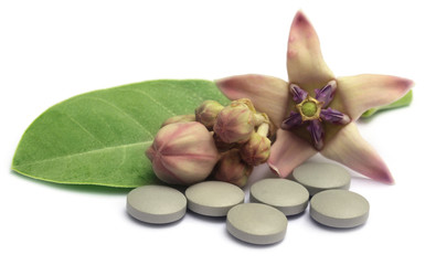 Medicinal Crown flower with pills