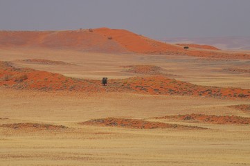Fototapeta na wymiar Dünenlandschaft der Namib