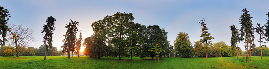 360 degree panorama, forest in park