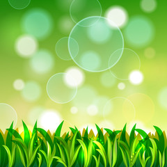 Nature Background With Grass And Bokeh