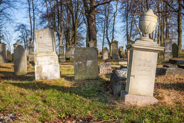 Historic cemetery (18th century) - Poland