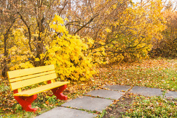bench in autumn  park