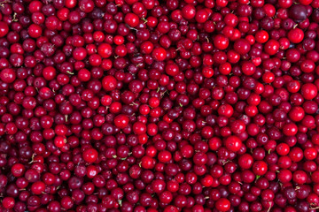 cowberries background