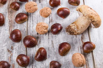 Fungo,noci,castagne,