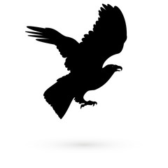 Icon falcon. Raster