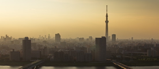Obraz premium Tokyo sky tree and Tokyo city view