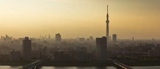 Fototapeten Tokyo Sky Tree und Tokyo City View © torsakarin