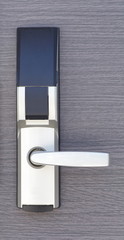 The modern wood door and metal handle
