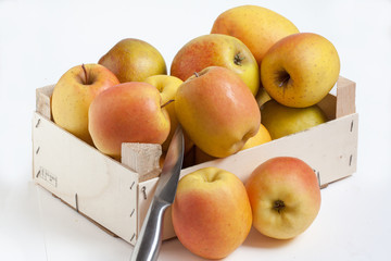 Pommes Tentation - Malus domestica - en vrac