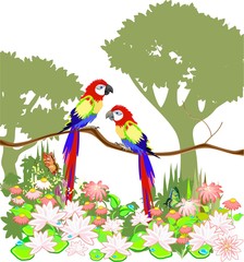 Macaw parrots on branch in jungle