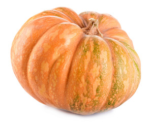 Pumpkin isolated on white