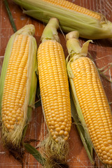 corn