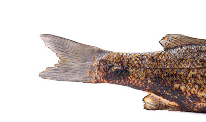 fried fish isolated