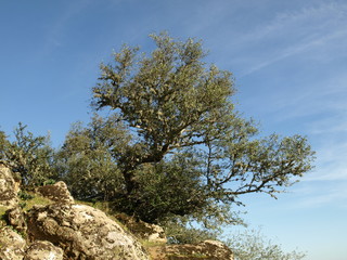 Parque Nacional de Monfragüe 3