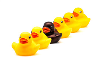 patos en linea