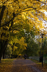 Fototapeta premium Helsinki im Herbst, Finnland