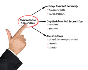 Marketable Securities