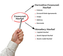 Financial Market