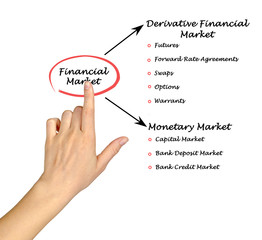 Financial Market