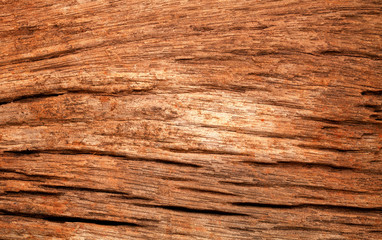 The old wood background