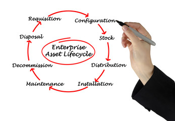 Enterprise Asset Life Cycle