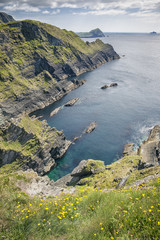 view from Reencaheragh to Skellig Island