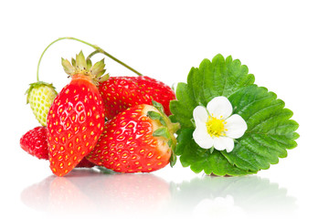 Fresh strawberry