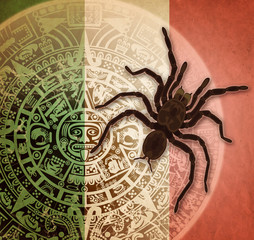 Background with Aztec calendar and tarantula