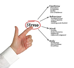 Obraz premium Diagram of stress consequences