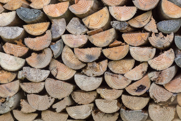 Gespaltenes Holz