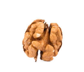 Kernel walnut.